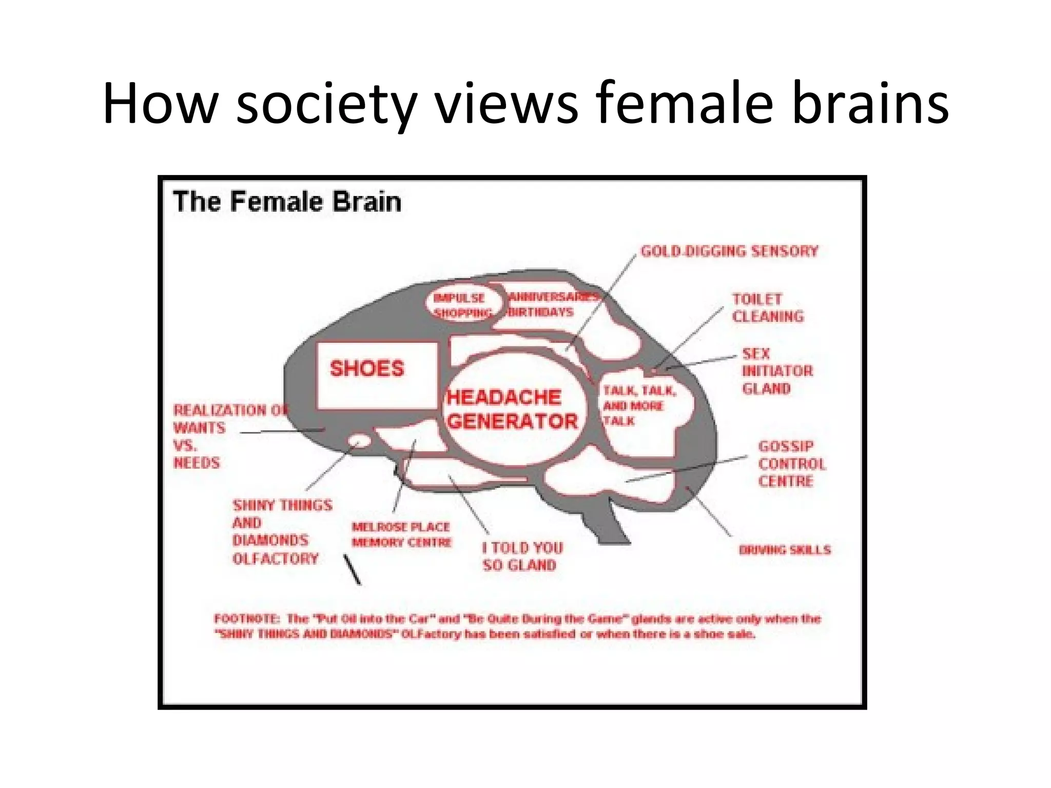 How society views female brains 