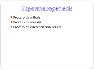 Proceso de mitosis
Proceso de meiosis
Proceso de diferenciación celular
 