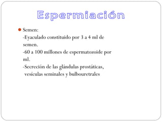 Semen:
-Eyaculado constituido por 3 a 4 ml de
semen.
-60 a 100 millones de espermatozoide por
ml.
-Secreción de las glándulas prostáticas,
vesículas seminales y bulbouretrales
 