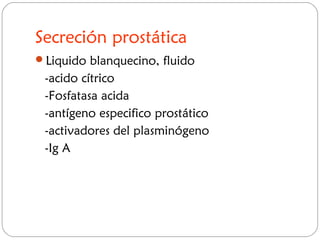 Secreción prostática
Liquido blanquecino, fluido
-acido cítrico
-Fosfatasa acida
-antígeno especifico prostático
-activadores del plasminógeno
-Ig A
 