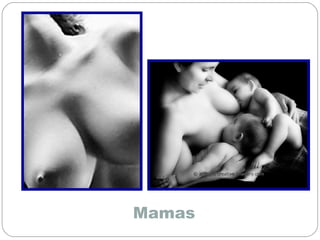 Mamas
 