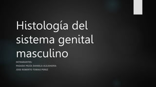 Histología del
sistema genital
masculino
INTEGRANTES:
PASADA MEJÍA DANIELA ALEJANDRA
JOSE ROBERTO TOBIAS PEREZ
 