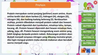 MATERI 1
MATERI 2
MATERI 3
MATERI 4
MATERI 5
MATERI 6
Protein
Protein merupakan rantai panjang (polimer) asam amino. Asam
amino terdiri dari atom karbon (C), hidrogen (H), oksigen (O),
nitrogen (N), dan kadang-kadang belerang (S). Berdasarkan
asalnya, protein dibedakan menjadi protein nabati dan hewani.
Protein nabati diperoleh dari tumbuhan, misalnya tahu, tempe,
kacang, dll. Protein hewani diperoleh dari hewan misalnya ikan,
udang, keju, dll. Protein hewani mengandung asam amino yang
lebih lengkap daripada protein nabati. Kekurangan protein akan
diubah menjadi senyawa nitrogen yang dibuang memalui ginjal.
Jika ingin menguji protein maka ekstrak makanan akan berubah
warna menjadi ungu.
 