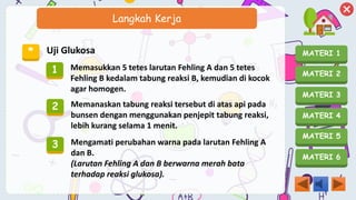 MATERI 1
MATERI 2
MATERI 3
MATERI 4
MATERI 5
MATERI 6
Langkah Kerja
* Uji Glukosa
1 Memasukkan 5 tetes larutan Fehling A dan 5 tetes
Fehling B kedalam tabung reaksi B, kemudian di kocok
agar homogen.
2 Memanaskan tabung reaksi tersebut di atas api pada
bunsen dengan menggunakan penjepit tabung reaksi,
lebih kurang selama 1 menit.
3 Mengamati perubahan warna pada larutan Fehling A
dan B.
(Larutan Fehling A dan B berwarna merah bata
terhadap reaksi glukosa).
 