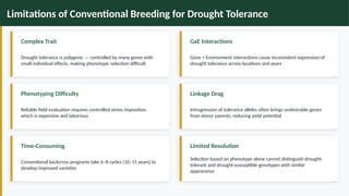 Marker Assisted Selection for Enhancing Drought Tolerance in Millets | PPTX