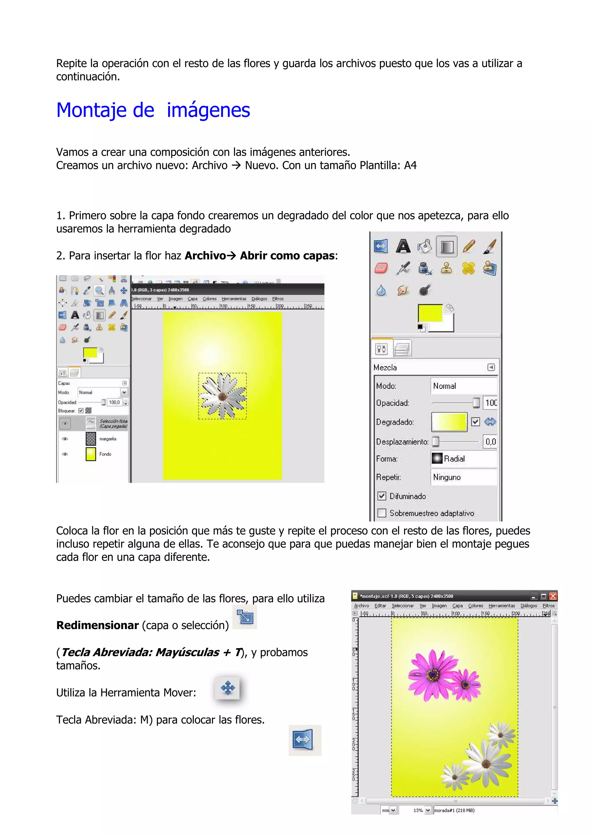 Repite la operación con el resto de las flores y guarda los archivos puesto que los vas a utilizar a
continuación.


Montaje de imágenes
Vamos a crear una composición con las imágenes anteriores.
Creamos un archivo nuevo: Archivo    Nuevo. Con un tamaño Plantilla: A4



1. Primero sobre la capa fondo crearemos un degradado del color que nos apetezca, para ello
usaremos la herramienta degradado

2. Para insertar la flor haz Archivo   Abrir como capas:




Coloca la flor en la posición que más te guste y repite el proceso con el resto de las flores, puedes
incluso repetir alguna de ellas. Te aconsejo que para que puedas manejar bien el montaje pegues
cada flor en una capa diferente.


Puedes cambiar el tamaño de las flores, para ello utiliza

Redimensionar (capa o selección)

(Tecla Abreviada: Mayúsculas + T), y probamos
tamaños.

Utiliza la Herramienta Mover:

Tecla Abreviada: M) para colocar las flores.




                                                                       DEP. TECNOLOGÍA /MJGM/ /I.E.S. DIONISIO AGUADO
 