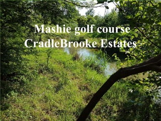 Mashie golf course
CradleBrooke Estates
 