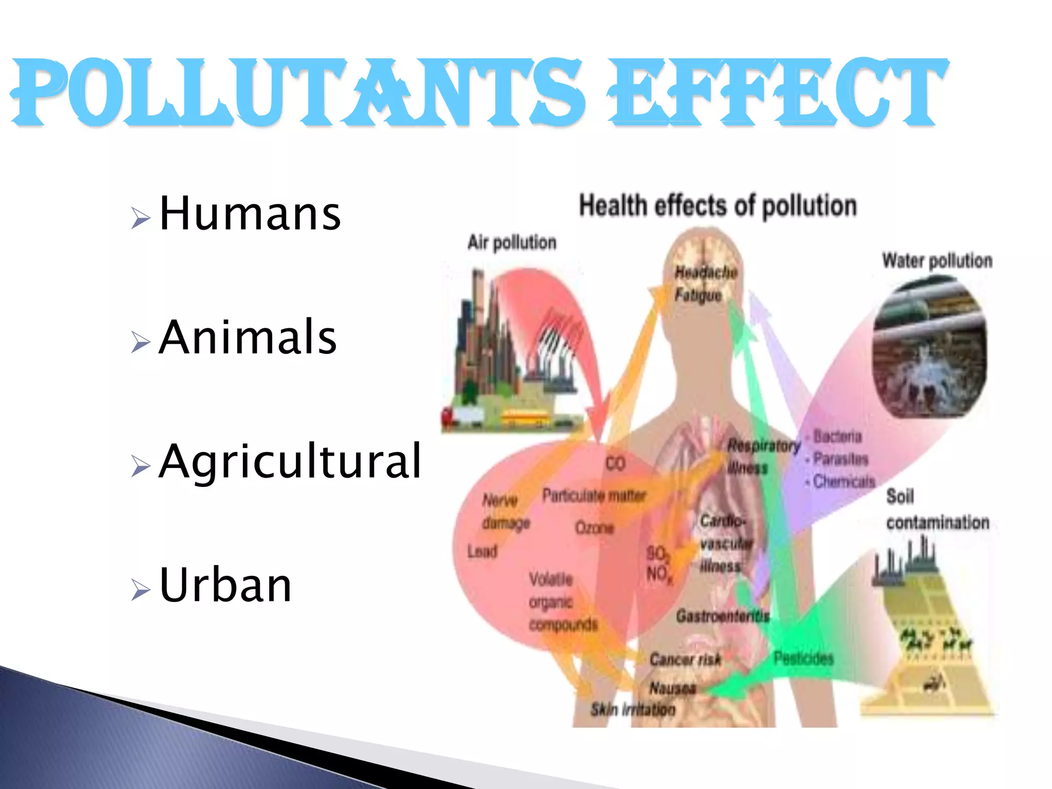 p0llutants effect
   Humans


   Animals


   Agricultural


   Urban
 