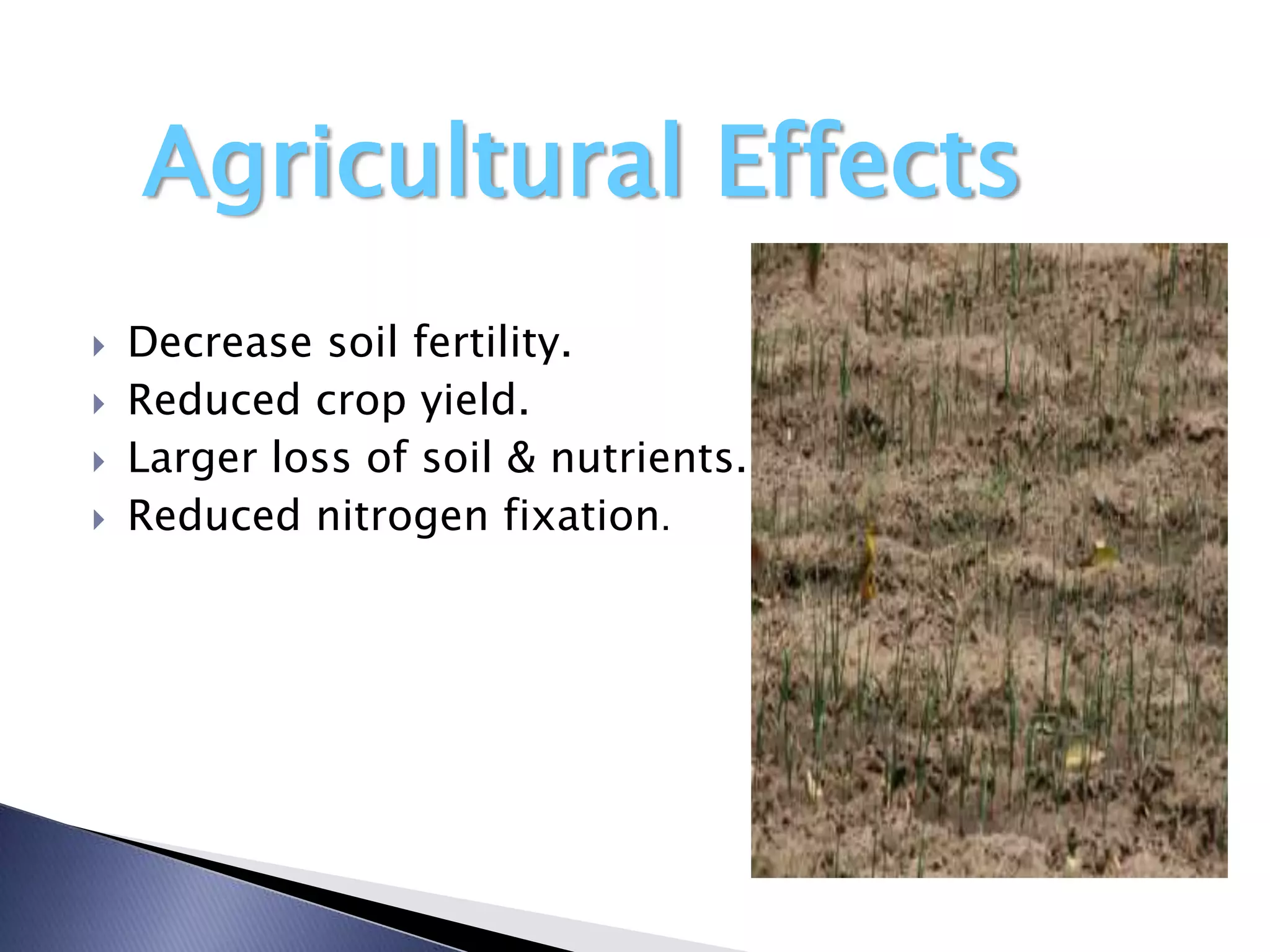Agricultural Effects
   Decrease soil fertility.
   Reduced crop yield.
   Larger loss of soil & nutrients.
   Reduced nitrogen fixation.
 