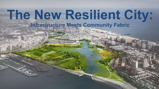 The New Resilient City:
Infrastructure Meets Community Fabric

REBUILD BY DESIGN

 