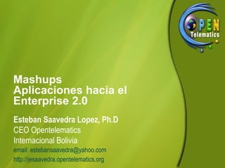 Mashups
Aplicaciones hacia el
Enterprise 2.0
Esteban Saavedra Lopez, Ph.D
CEO Opentelematics
Internacional Bolivia
email: estebansaavedra@yahoo.com
http://jesaavedra.opentelematics.org
 