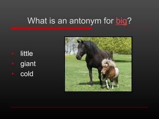 What is an antonym for big?

• little
• giant
• cold

 
