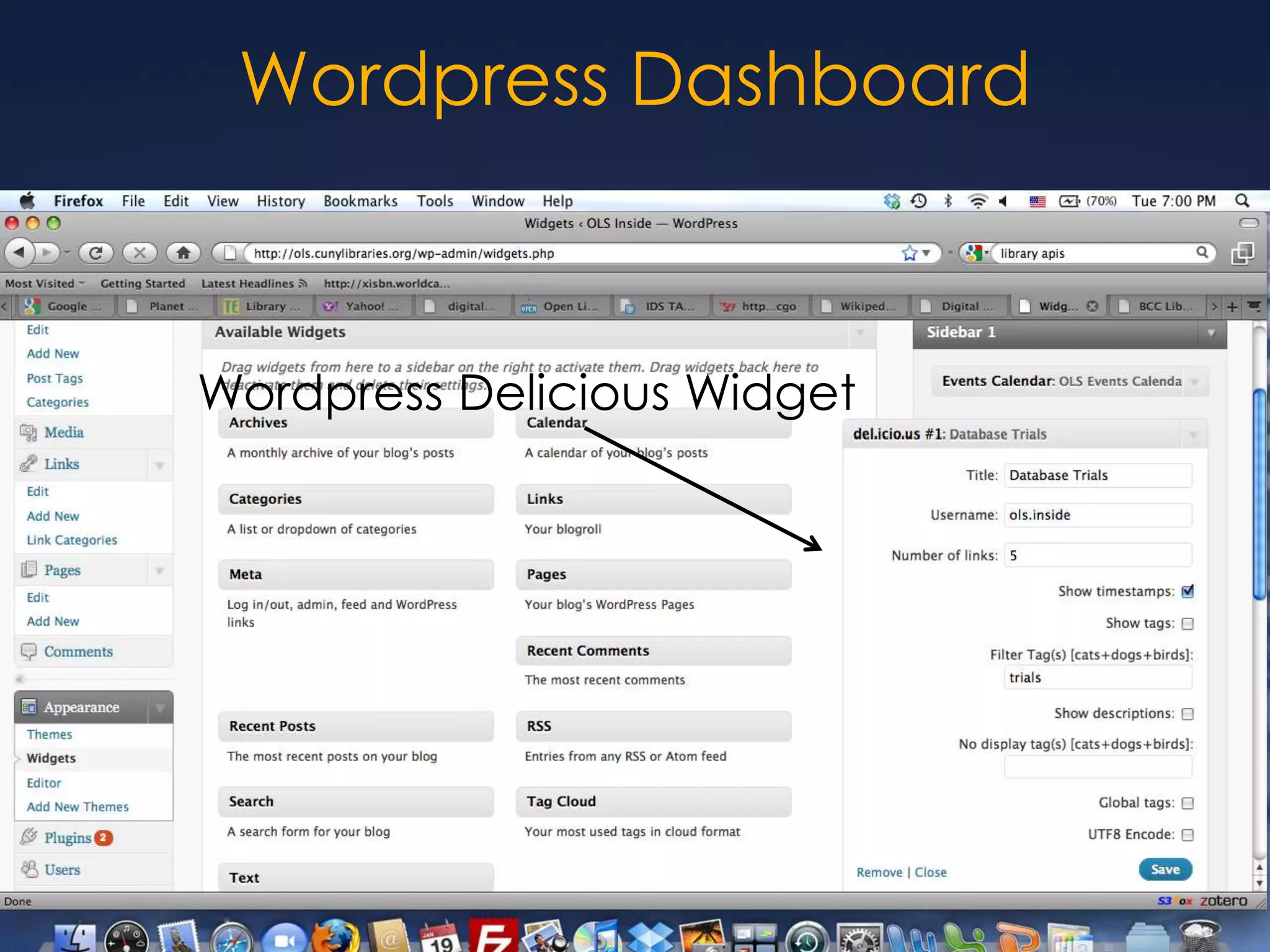 Wordpress DashboardWordpress Delicious Widget