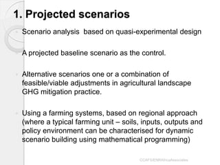 1. Projected scenarios 
Scenario analysis based on quasi-experimental design 
A projected baseline scenario as the control. 
Alternative scenarios one or a combination of feasible/viable adjustments in agricultural landscape GHG mitigation practice. 
Using a farming systems, based on regional approach (where a typical farming unit – soils, inputs, outputs and policy environment can be characterised for dynamic scenario building using mathematical programming) 
CCAFS/ENRAfricaAssociates  