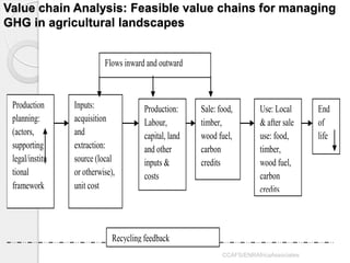 Masiga Economic social evaluation national GHG mitigation