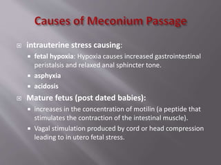  intrauterine stress causing:
 fetal hypoxia: Hypoxia causes increased gastrointestinal
peristalsis and relaxed anal sphincter tone.
 asphyxia
 acidosis
 Mature fetus (post dated babies):
 increases in the concentration of motilin (a peptide that
stimulates the contraction of the intestinal muscle).
 Vagal stimulation produced by cord or head compression
leading to in utero fetal stress.
 