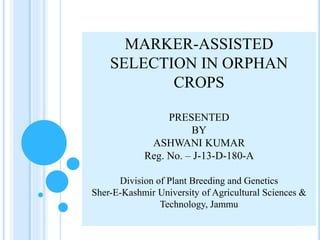 MARKER-ASSISTED
SELECTION IN ORPHAN
CROPS
PRESENTED
BY
ASHWANI KUMAR
Reg. No. – J-13-D-180-A
Division of Plant Breeding and Genetics
Sher-E-Kashmir University of Agricultural Sciences &
Technology, Jammu
 