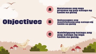 Masistemang pangangalaga ng Tanim na mga Gulay.pdf