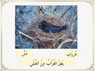 ‫اب‬َ‫ر‬‫ر‬ُ‫غ‬
ٌّّ
‫ش‬ُ‫ع‬
َ ‫ي‬
‫ال‬ ُ‫ِير‬‫ط‬
ِ ّ
‫ش‬ُ‫الع‬ َ‫ن‬ِ‫م‬ ُ‫اب‬َ ‫ر‬ُ‫غ‬
 