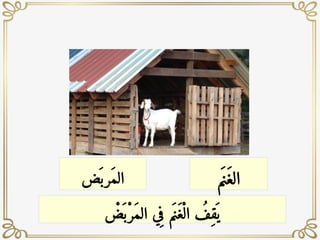 ‫م‬َ‫ن‬َ‫غ‬‫ال‬
‫ض‬
َ ‫َرب‬‫م‬‫ال‬
ْ
‫ض‬
َ ‫ْب‬‫ر‬َ‫م‬‫ال‬ ‫ي‬ِ‫ف‬ ‫م‬َ‫ن‬َ‫غ‬ْ‫ال‬ ُ
‫ِف‬‫ق‬
َ ‫ي‬
 