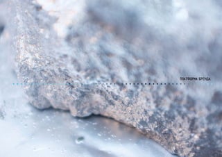 ПЛАТФОРМА БРЕНДА
 