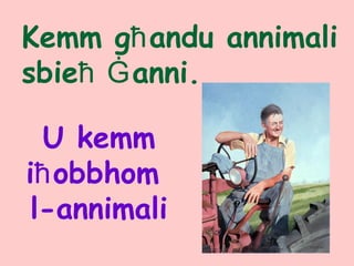 Kemm għandu annimali
sbieħ Ġanni.
U kemm
iħobbhom
l-annimali
 