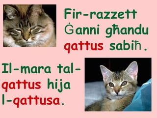 Fir-razzett
Ġanni għandu
qattus sabiħ.
Il-mara tal-
qattus hija
l-qattusa.
 