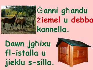 Ġanni għandu
żiemel u debba
kannella.
Dawn jgħixu
fl-istalla u
jieklu s-silla.
 