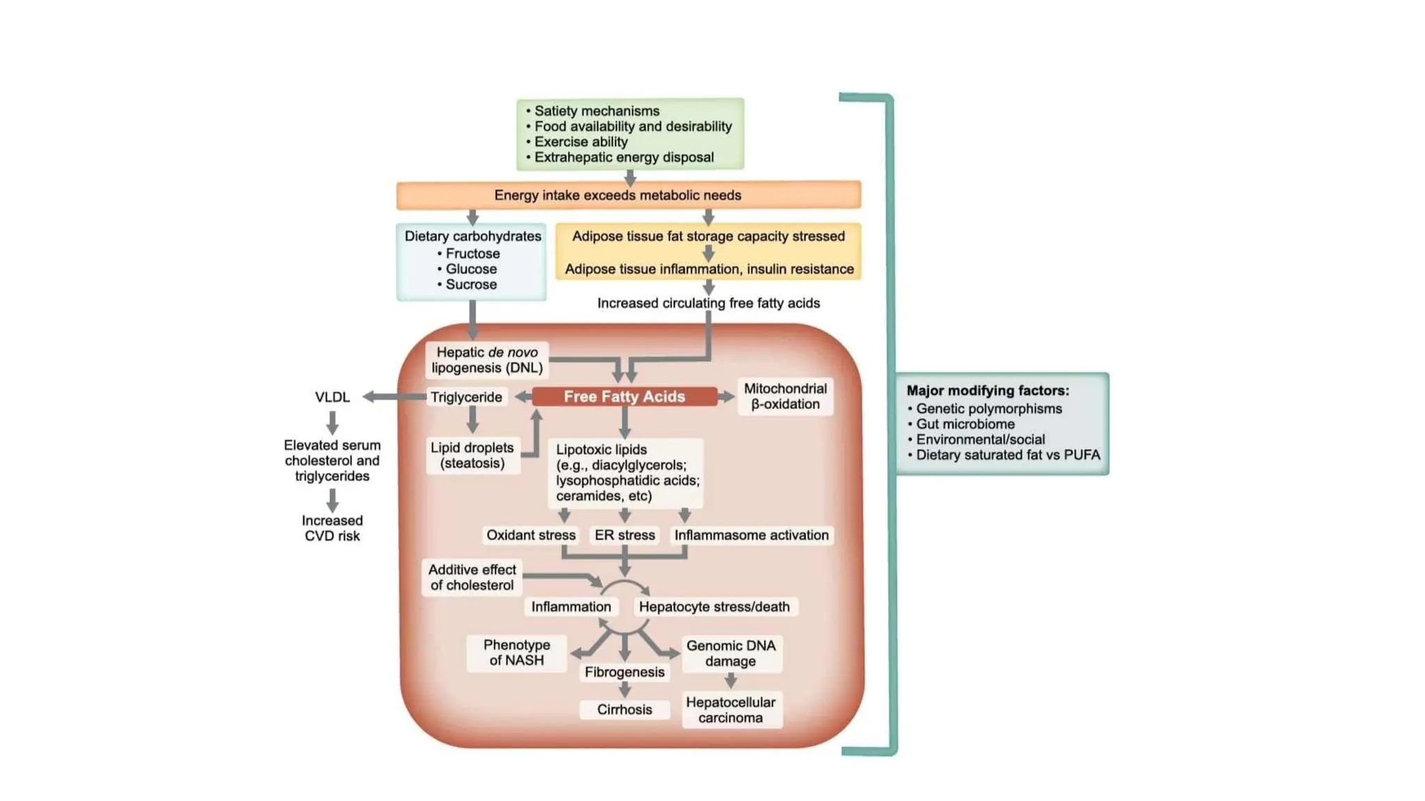 Metabolism visual data 5