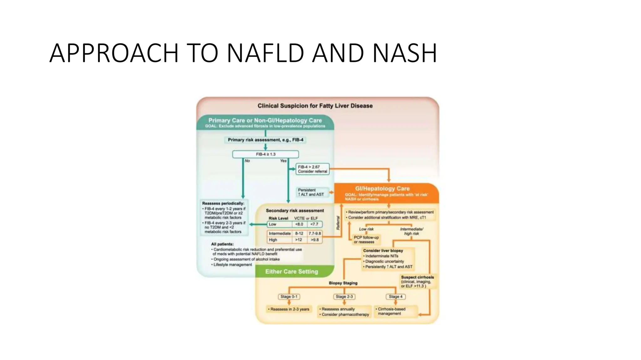 Metabolism visual data 8