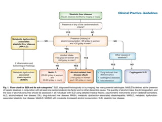 Metabolic Dysfunction associated steatotic liver disease. | PPTX