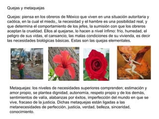 Quejas y metaquejas Quejas: piensa en los obreros de México que viven en una situación autoritaria y caótica, en la cual el miedo,, la necesidad y el hambre es una posibilidad real, y que determina el comportamiento de los jefes, la sumisión con que los obreros aceptan la crueldad. Ellos al quejarse, lo hacen a nivel ínfimo: frío, humedad, el peligro de sus vidas, el cansancio, las malas condiciones de su vivienda, es decir las necesidades biológicas básicas. Estas son las quejas elementales.  Metaquejas: los niveles de necesidades superiores comprenden; estimación y amor propio, se plantea dignidad, autonomía, respeto propio y de los demás, sentimientos de valía, alabanzas por éxitos, imperfección del mundo en que se vive, fracaso de la justicia. Dichas metaquejas están ligadas a las  metanecesidades de perfección, justicia, verdad, belleza, sinceridad, conocimiento.  
