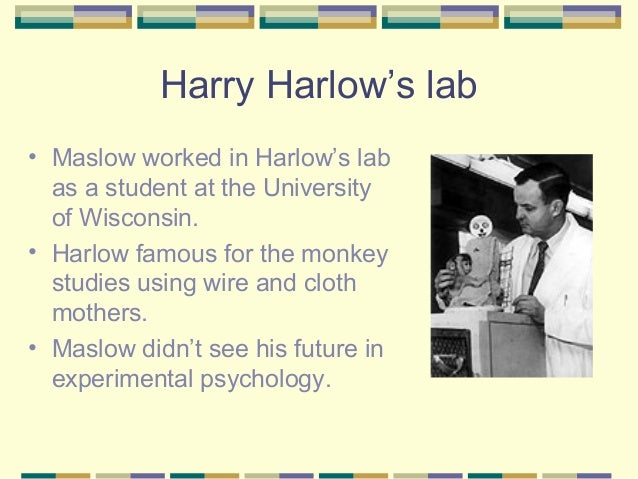 Skinner S View Of Human Nature Skinner S View Of Human Nature