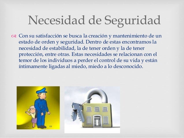 Que Es Una Necesidad De Seguridad