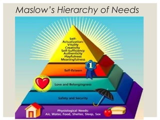 Maslow’s Hierarchy of Needs
 
