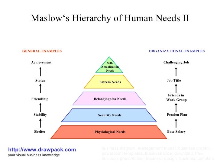 hierarchy of business