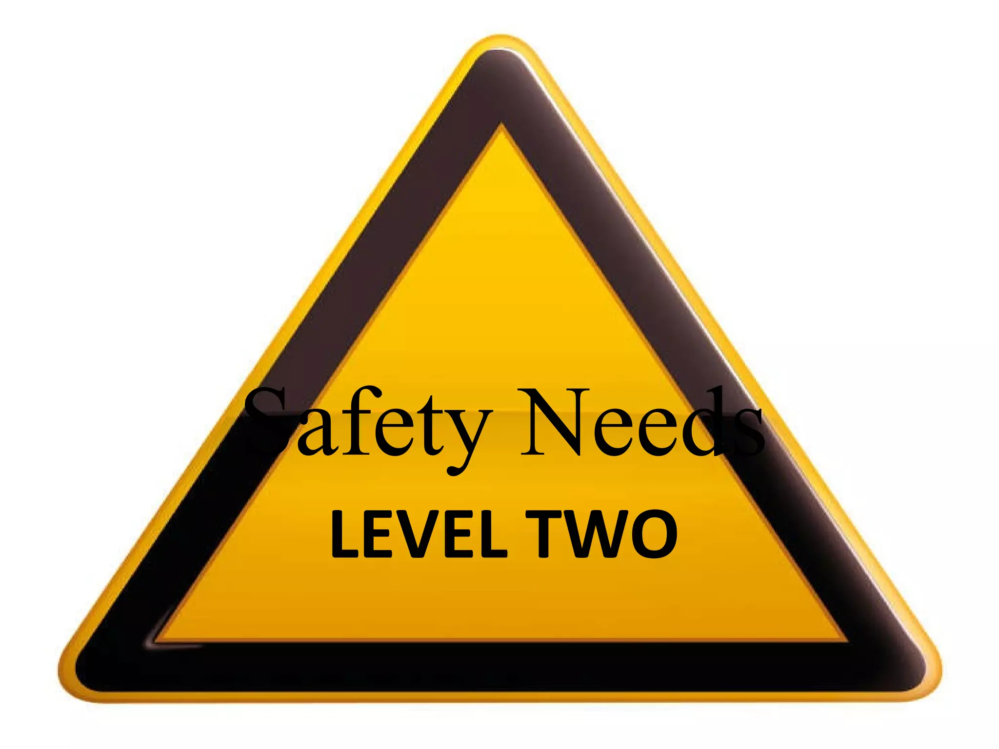LEVEL TWO Safety Needs 