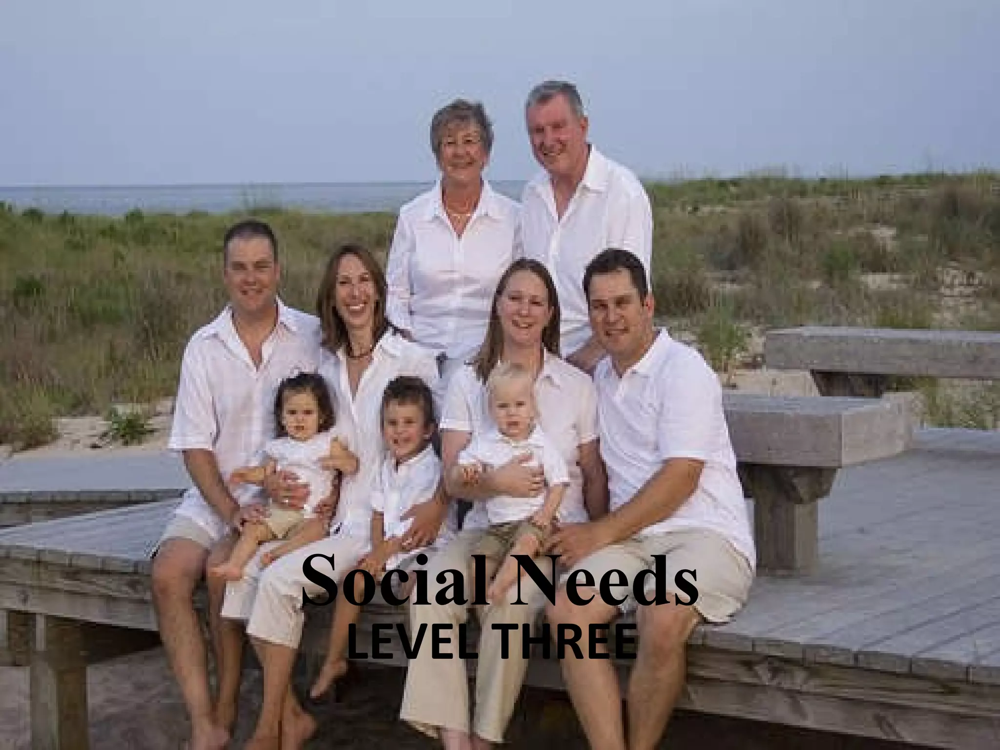 LEVEL THREE Social   Needs 