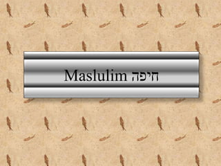 Maslulim ‫חיפה‬
 