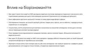 Вплив на біорізноманіття
• Вже через 5 років після аварії на ЧАЕС дослідники відмічали поступове відтворення тваринного і рослинного світу:
сприятливими умовами для цього стали евакуація населення й припинення тут господарської діяльності.
• Вчені зафіксували зростання чисельності типових та появу рідких видів флори та фауни.
• Спостереження показали, що кількість мутацій у рослин і тварин хоча і зросла, але не набагато, і природа успішно
справляється з їх наслідками.
• З іншого боку, зняття антропогенної дії позитивно позначилося на екосистемі заповідника і вплив цього чинника
значно перевищив негативні наслідки радіації.
• Отже природа почала відновлюватися швидкими темпами, зросли популяції тварин, збільшилося різноманіття
видів рослинності.
• Вже через 15-20 років після аварії на ЧАЕС стало зрозуміло: природа набагато потужніша навіть за такий страшний
антропогенний фактор як Чорнобильська катастрофа.
• Територія в кілька сотень тисяч гектарів сама по собі стала заповідною: там знайшли прихисток і комфортні умови
для розмноження сотні видів не тільки типових, а й рідкісних червонокнижних тварин.
 