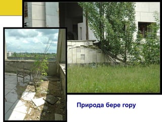 Чи є в Україні екологічна політика: від Чорнобиля до зміни клімату?