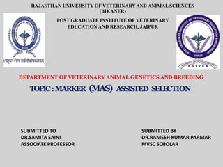 RAJASTHAN UNIVERSITY OF VETERINARYAND ANIMAL SCIENCES
(BIKANER)
POST GRADUATE INSTITUTE OF VETERINARY
EDUCATION AND RESEARCH, JAIPUR
DEPARTMENT OF VETERINARY ANIMAL GENETICS AND BREEDING
SUBMITTED TO
DR.SAMITA SAINI
ASSOCIATE PROFESSOR
SUBMITTED BY
DR.RAMESH KUMAR PARMAR
MVSC SCHOLAR
TOPIC:MARKER (MAS) ASSISTED SELE
CTION
 