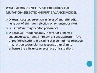 POPULATION GENETICS STUDIES INTO THE
MUTATION-SELECTION-DRIFT BALANCE MODEL
 D. melanogaster: selection in favor of unpre...