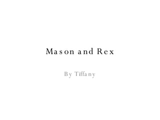 Mason and Rex By Tiffany 