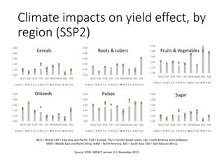 Climate impacts on yield effect, by
region (SSP2)
Source: IFPRI, IMPACT version 3.2, November 2015
Roots & tubers
WLD = Wo...