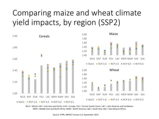 Comparing maize and wheat climate
yield impacts, by region (SSP2)
Source: IFPRI, IMPACT version 3.2, November 2015
WLD = W...