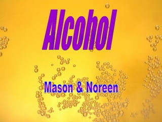 Alcohol Mason & Noreen 