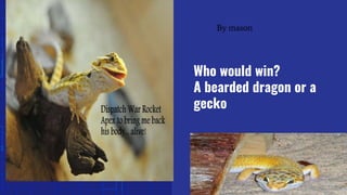 Who would win?
A bearded dragon or a
gecko
By mason
 