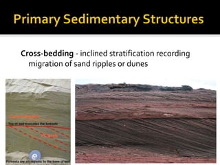 Sedimentary Structures Examples Primary sedimentary structures | PPTX