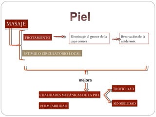 mejora SENSIBILIDAD CUALIDADES MECÁNICAS DE LA PIEL TROFICIDAD FROTAMIENTO Disminuye el grosor de la  capa córnea Renovación de la epidermis.  ESTIMULO CIRCULATORIO LOCAL PERMEABILIDAD 